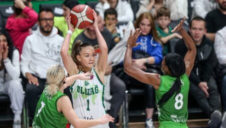 Bursa Uludağ Basketbol, 17 sayı farkla kaybetti